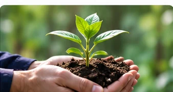 Young plant held in hands, symbolizing responsible resource management